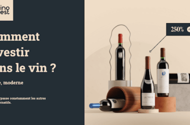 Comment investir dans le vin